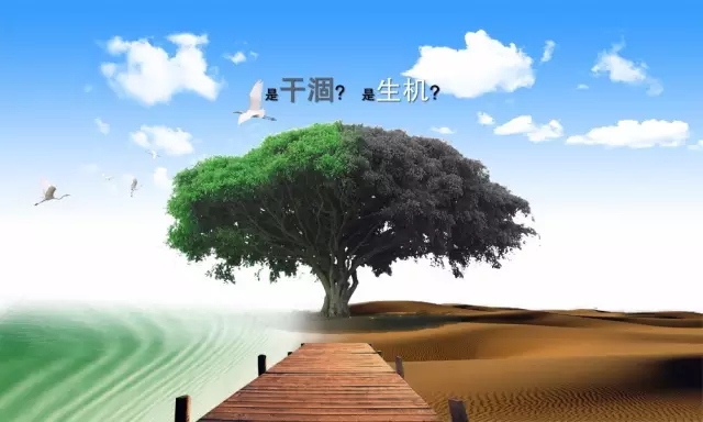 640.webp.jpg